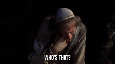 WHO'S THAT?  