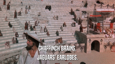 CHAFFINCH BRAINS. JAGUARS' EARLOBES. 