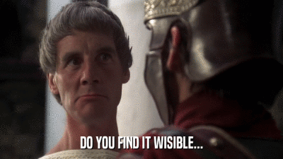 DO YOU FIND IT WISIBLE...  