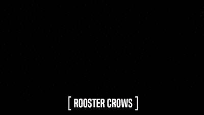 [ ROOSTER CROWS ]  