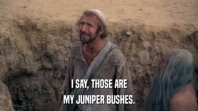 I SAY, THOSE ARE MY JUNIPER BUSHES. 