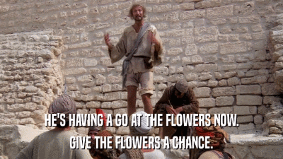 HE'S HAVING A GO AT THE FLOWERS NOW. GIVE THE FLOWERS A CHANCE. 
