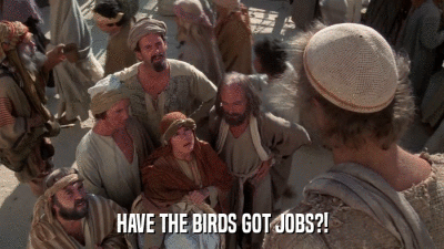 HAVE THE BIRDS GOT JOBS?!  