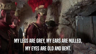 MY LEGS ARE GREY, MY EARS ARE NULLED, MY EYES ARE OLD AND BENT. 