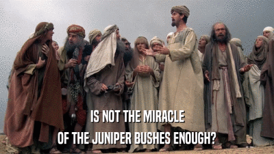IS NOT THE MIRACLE OF THE JUNIPER BUSHES ENOUGH? 