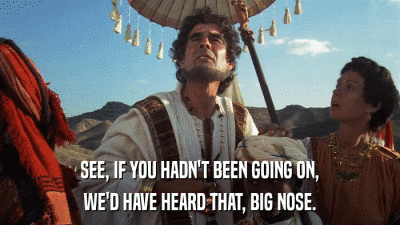 SEE, IF YOU HADN'T BEEN GOING ON, WE'D HAVE HEARD THAT, BIG NOSE. 