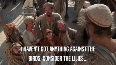 I HAVEN'T GOT ANYTHING AGAINST THE BIRDS. CONSIDER THE LILIES... 