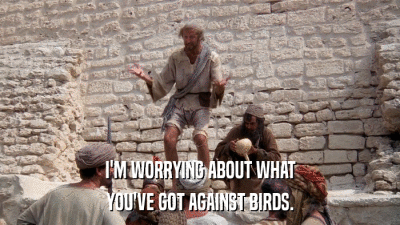 I'M WORRYING ABOUT WHAT YOU'VE GOT AGAINST BIRDS. 