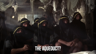 THE AQUEDUCT?  