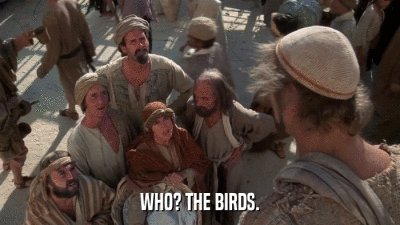 WHO? THE BIRDS.  