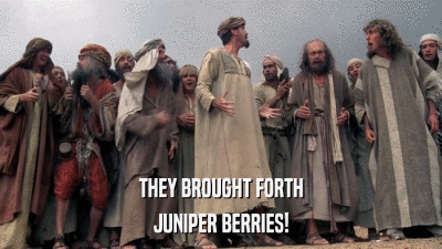 THEY BROUGHT FORTH JUNIPER BERRIES! 