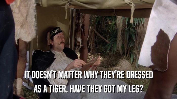 IT DOESN'T MATTER WHY THEY'RE DRESSED AS A TIGER. HAVE THEY GOT MY LEG? 