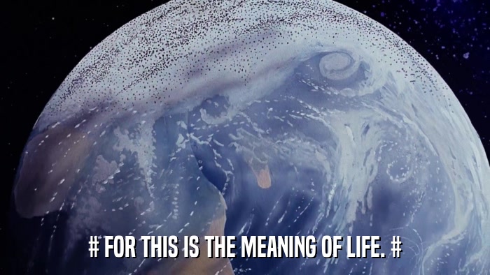 # FOR THIS IS THE MEANING OF LIFE. #  