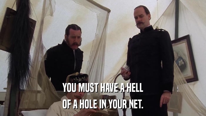 YOU MUST HAVE A HELL OF A HOLE IN YOUR NET. 