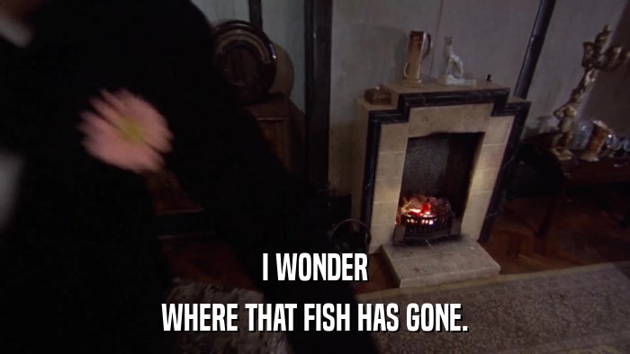 I WONDER WHERE THAT FISH HAS GONE. 