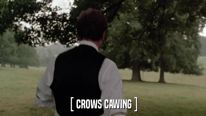 [ CROWS CAWING ]  