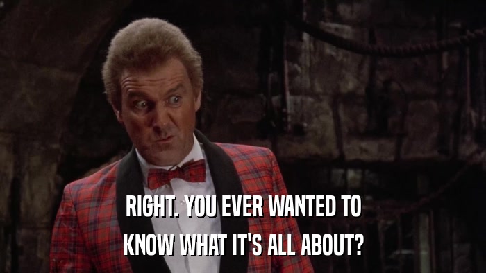 RIGHT. YOU EVER WANTED TO KNOW WHAT IT'S ALL ABOUT? 