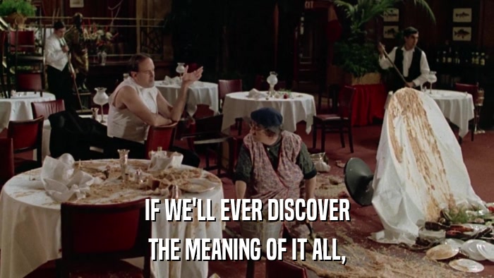 IF WE'LL EVER DISCOVER THE MEANING OF IT ALL, 