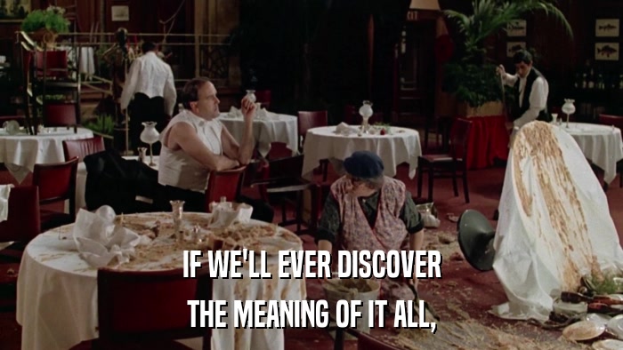 IF WE'LL EVER DISCOVER THE MEANING OF IT ALL, 