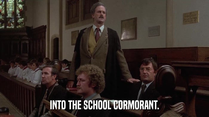 INTO THE SCHOOL CORMORANT.  