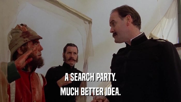 A SEARCH PARTY. MUCH BETTER IDEA. 
