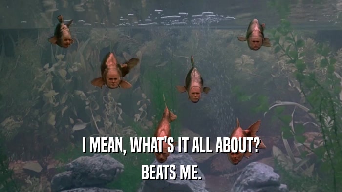 I MEAN, WHAT'S IT ALL ABOUT? BEATS ME. 