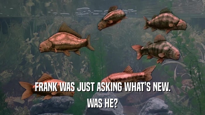 FRANK WAS JUST ASKING WHAT'S NEW. WAS HE? 
