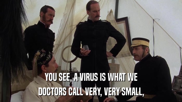 YOU SEE, A VIRUS IS WHAT WE DOCTORS CALL VERY, VERY SMALL, 