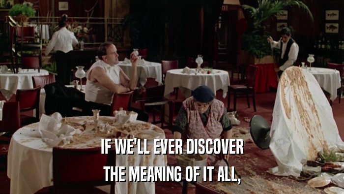 IF WE'LL EVER DISCOVER THE MEANING OF IT ALL, 