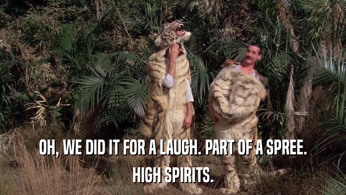 OH, WE DID IT FOR A LAUGH. PART OF A SPREE. HIGH SPIRITS. 
