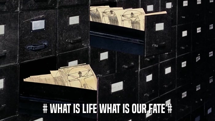 # WHAT IS LIFE WHAT IS OUR FATE #  
