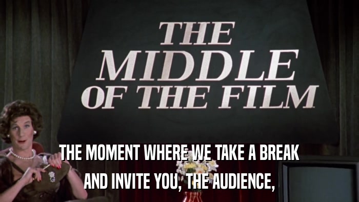 THE MOMENT WHERE WE TAKE A BREAK AND INVITE YOU, THE AUDIENCE, 