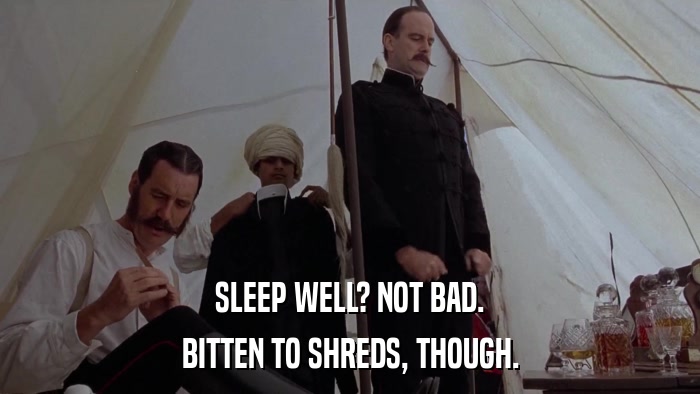 SLEEP WELL? NOT BAD. BITTEN TO SHREDS, THOUGH. 