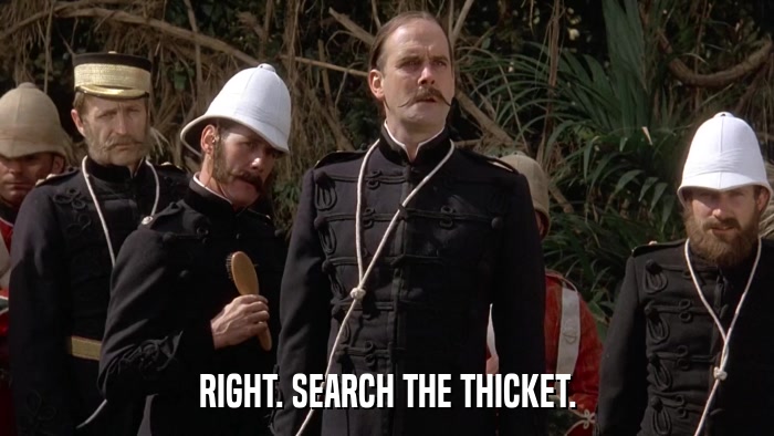 RIGHT. SEARCH THE THICKET.  