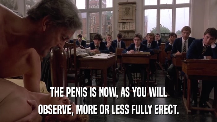 THE PENIS IS NOW, AS YOU WILL OBSERVE, MORE OR LESS FULLY ERECT. 