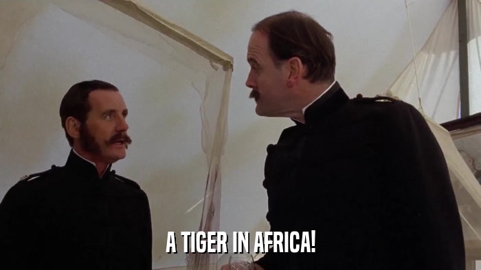 A TIGER IN AFRICA!  