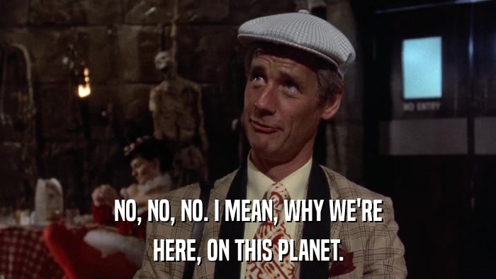 NO, NO, NO. I MEAN, WHY WE'RE HERE, ON THIS PLANET. 