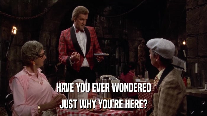 HAVE YOU EVER WONDERED JUST WHY YOU'RE HERE? 