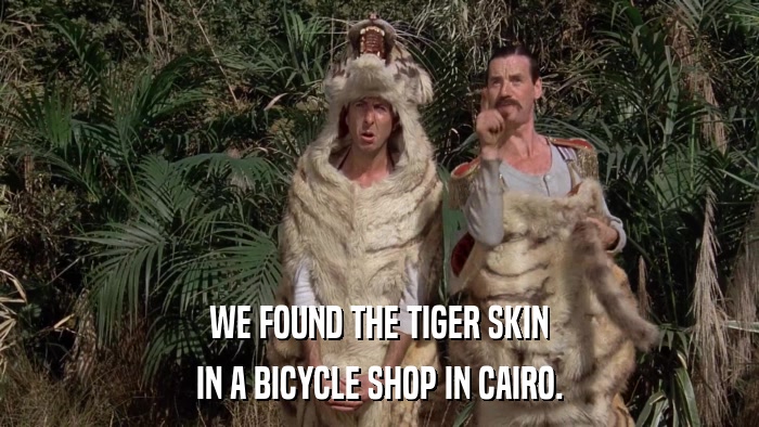 WE FOUND THE TIGER SKIN IN A BICYCLE SHOP IN CAIRO. 
