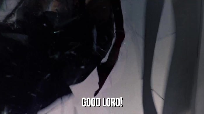 GOOD LORD!  