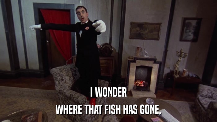 I WONDER WHERE THAT FISH HAS GONE. 