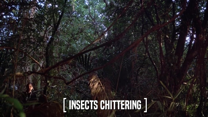 [ INSECTS CHITTERING ]  