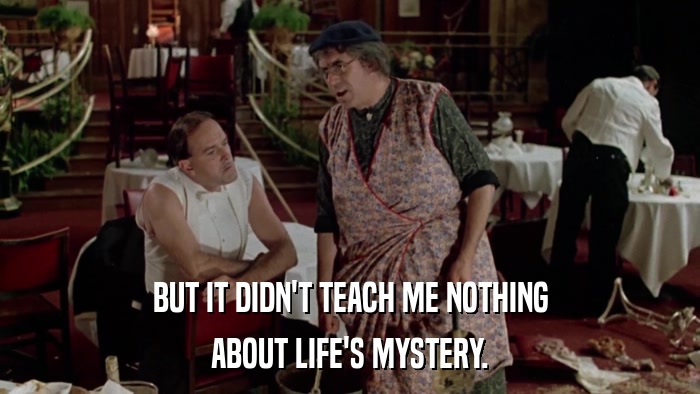 BUT IT DIDN'T TEACH ME NOTHING ABOUT LIFE'S MYSTERY. 