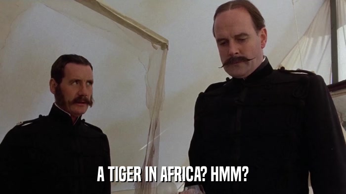 A TIGER IN AFRICA? HMM?  
