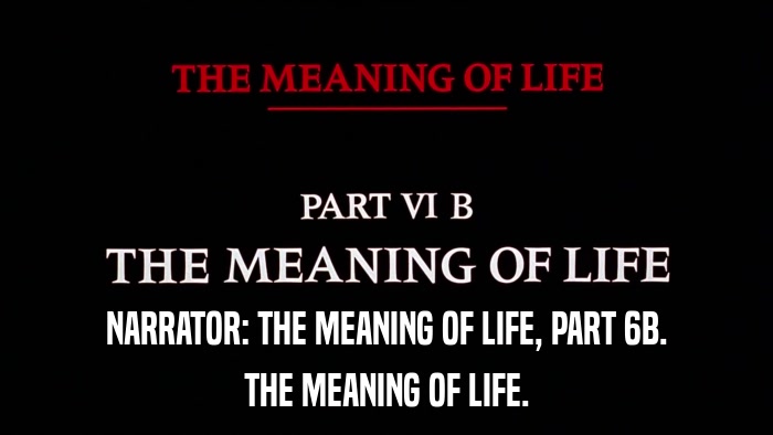 NARRATOR: THE MEANING OF LIFE, PART 6B. THE MEANING OF LIFE. 