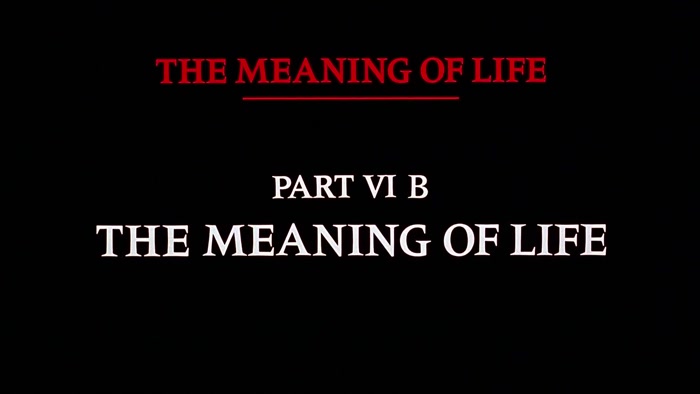 NARRATOR: THE MEANING OF LIFE, PART 6B. THE MEANING OF LIFE. 