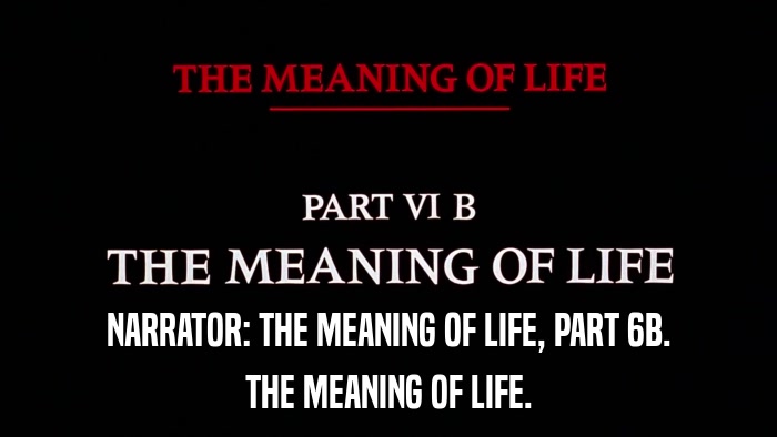 NARRATOR: THE MEANING OF LIFE, PART 6B. THE MEANING OF LIFE. 