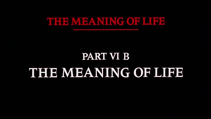 NARRATOR: THE MEANING OF LIFE, PART 6B. THE MEANING OF LIFE. 