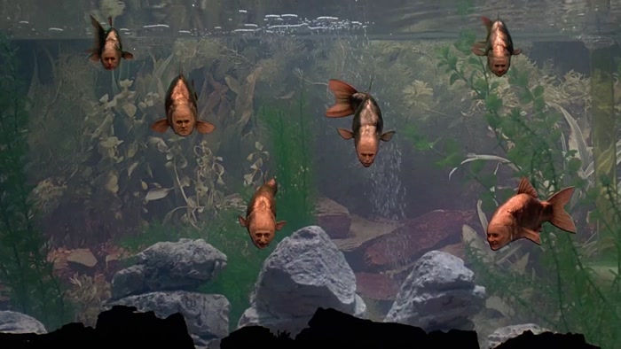 THEY HAVEN'T SAID MUCH ABOUT THE MEANING OF LIFE SO FAR, HAVE THEY? 