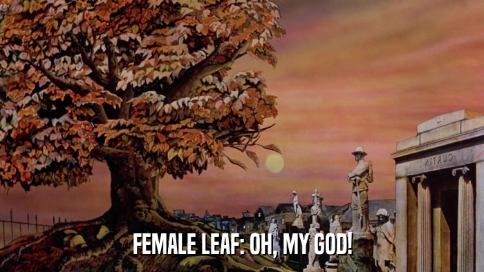 FEMALE LEAF: OH, MY GOD!  